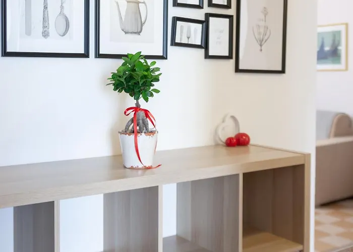 Dodicibarrauno Apartament