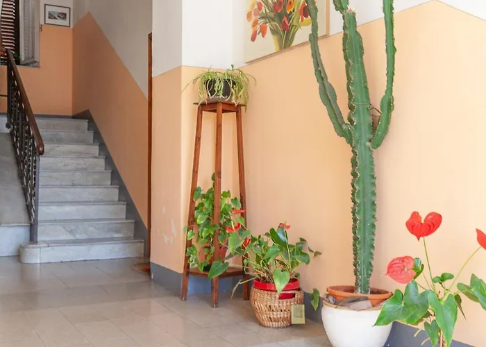 Apartman Dodicibarrauno *