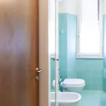 Dodicibarrauno Arezzo